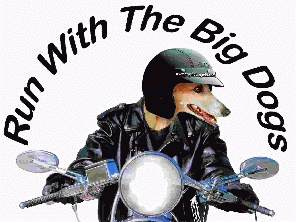 Greyhound Pets of America Run with the Big Dogs Poker Run, http://runwiththebigdogstampabay.com